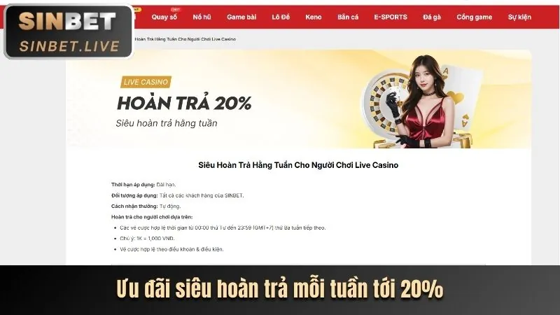 Chương Trình VIP & Khách Hàng Thân Thiết